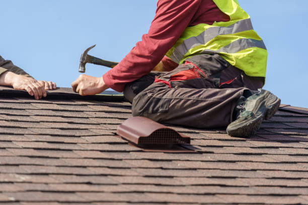 Roof Gutter Cleaning in Williams, CA