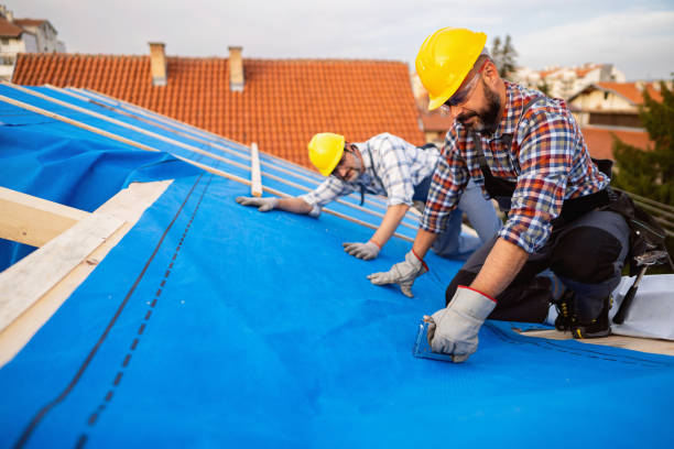 Best Roof Gutter Cleaning  in Williams, CA