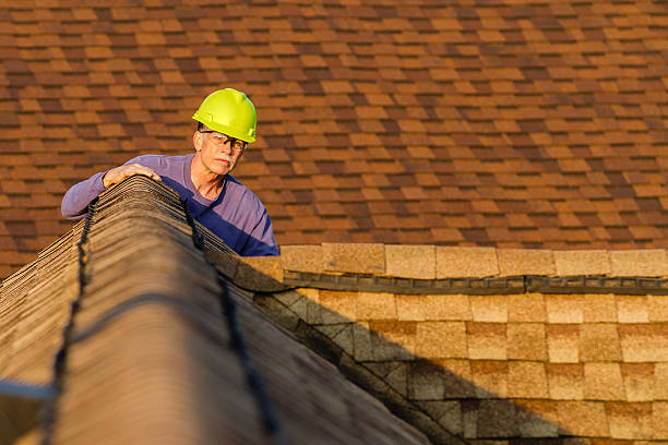 Best Roof Gutter Cleaning  in Williams, CA